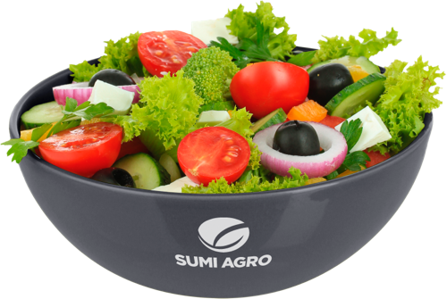 Salatschuessel